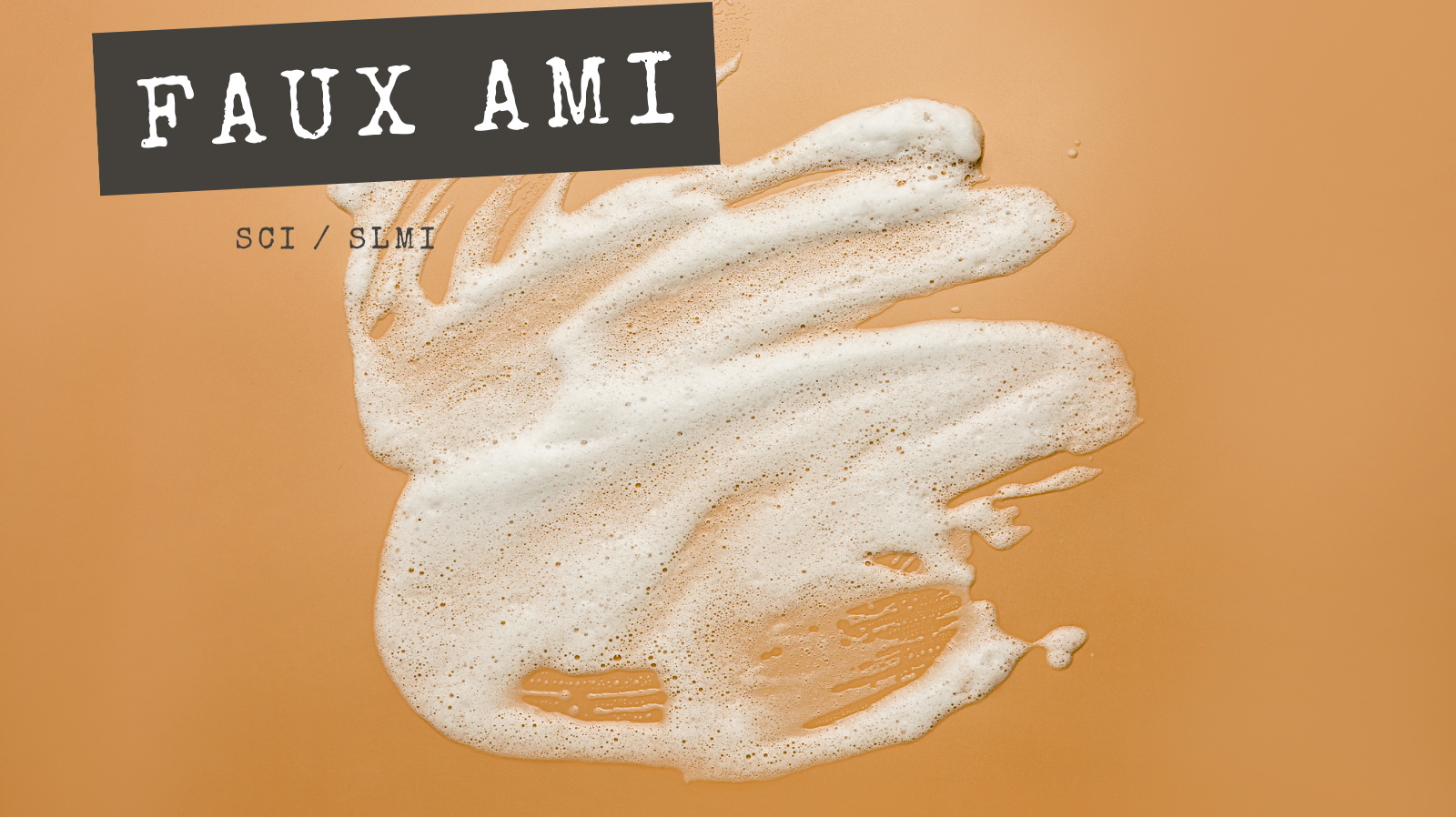 FAUX AMIS - SCI / SLMI