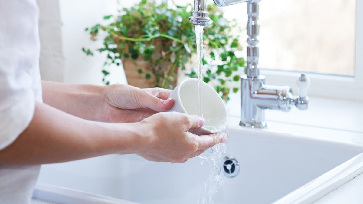 Comment bien choisir son produit vaisselle biologique ?