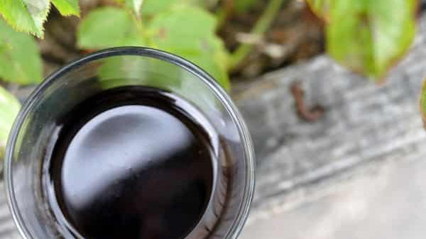 Huile d’olive bio : nouveau producteur