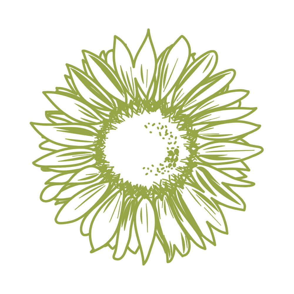 image tournesol local et bio