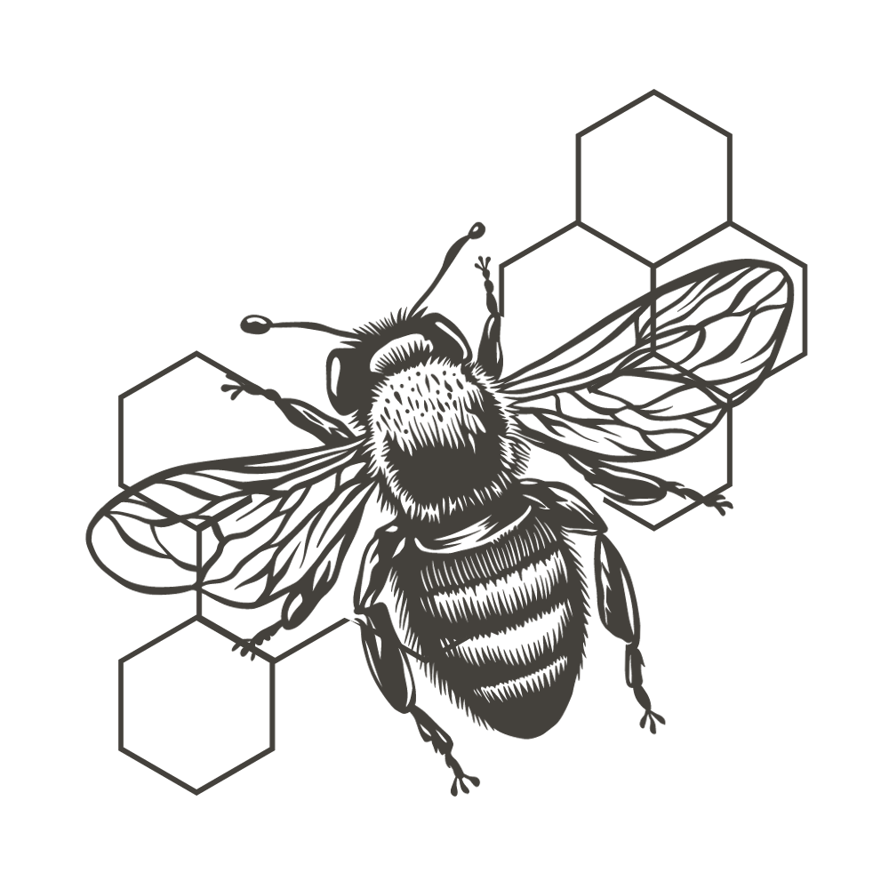 Miel et cire bio et locale. Production raisonnée. Respect des abeilles