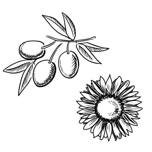 logo olive et tournesol bio