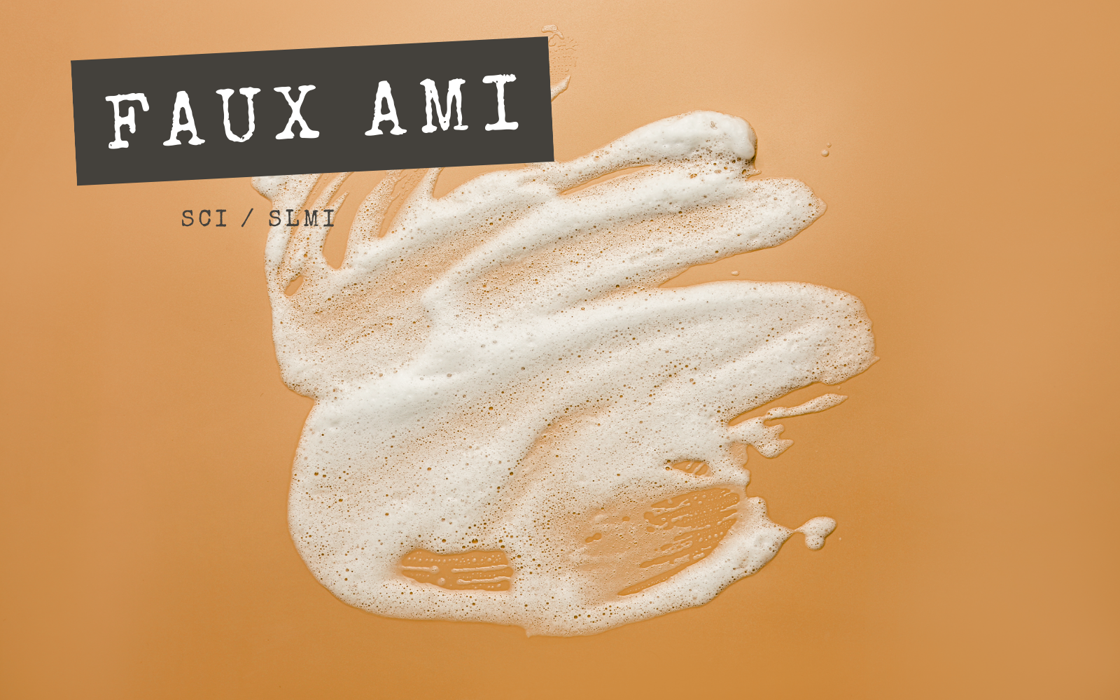 FAUX AMIS - SCI / SLMI