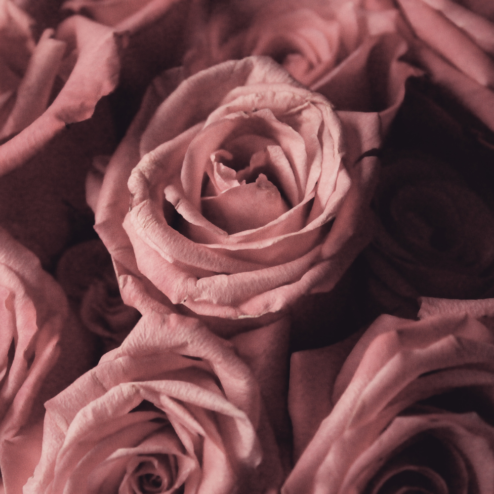 Roses de Damas Savons Arthur